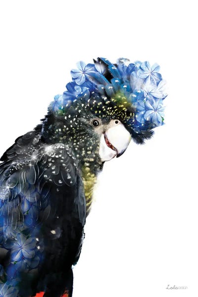 Wildlife Botanical Red Tailed Cockatoo by Lola Design framed wall art