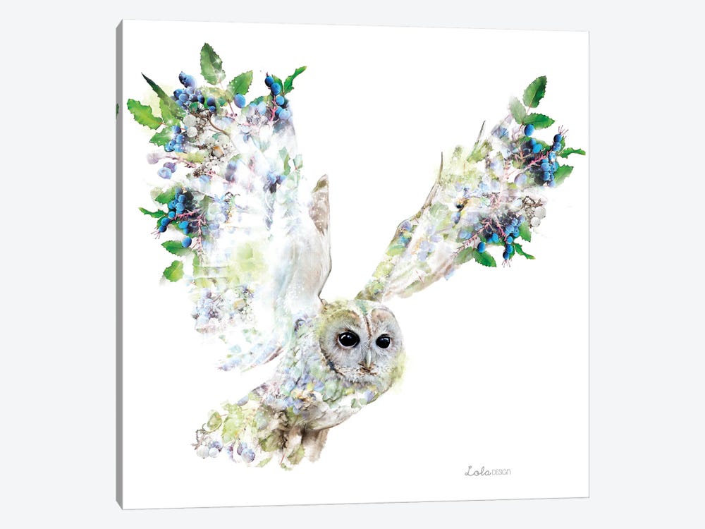 Wildlife Botanical Owl by Lola Design 1-piece Canvas Art