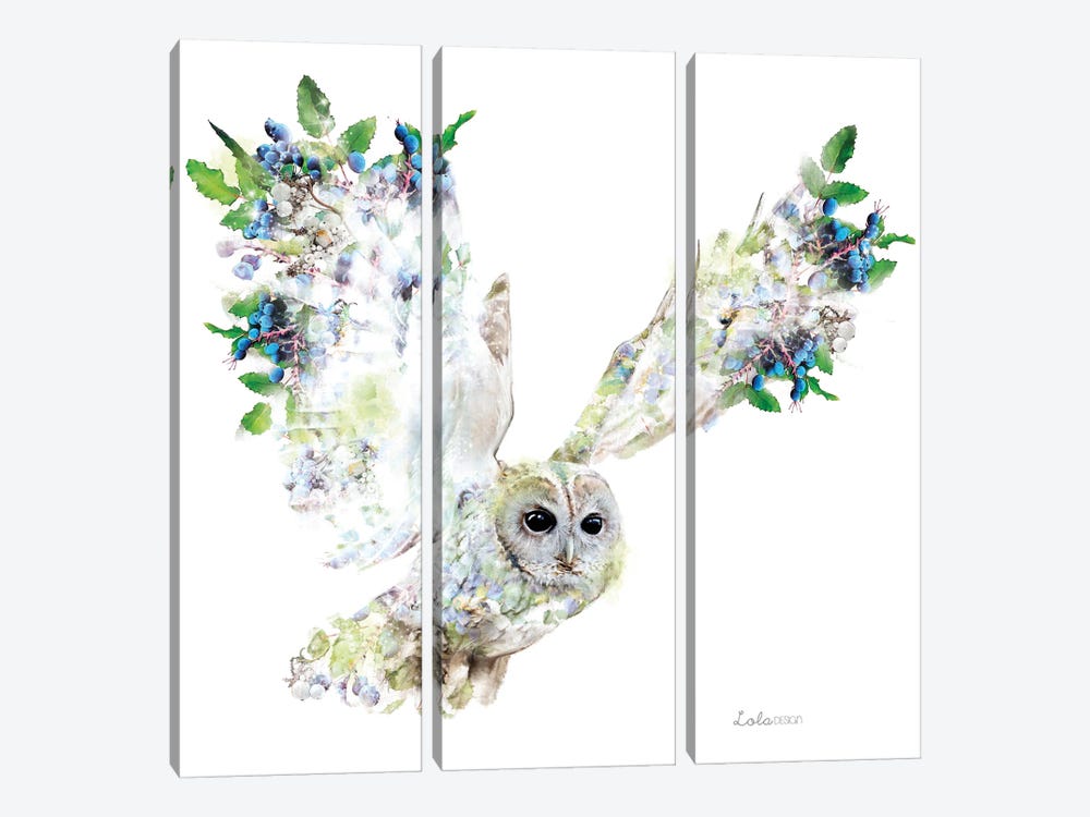 Wildlife Botanical Owl by Lola Design 3-piece Canvas Wall Art