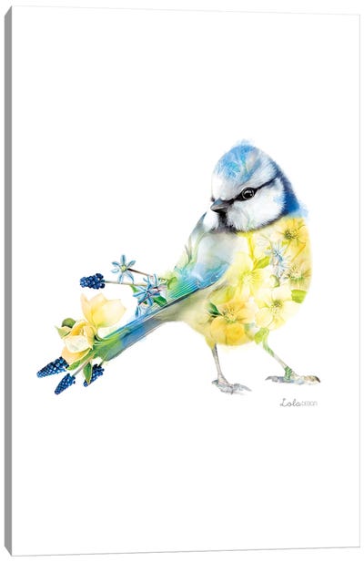 Wildlife Botanical Blue Tit Canvas Art Print - Lola Design