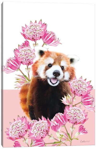 So Safari Red Panda Canvas Art Print - Red Panda