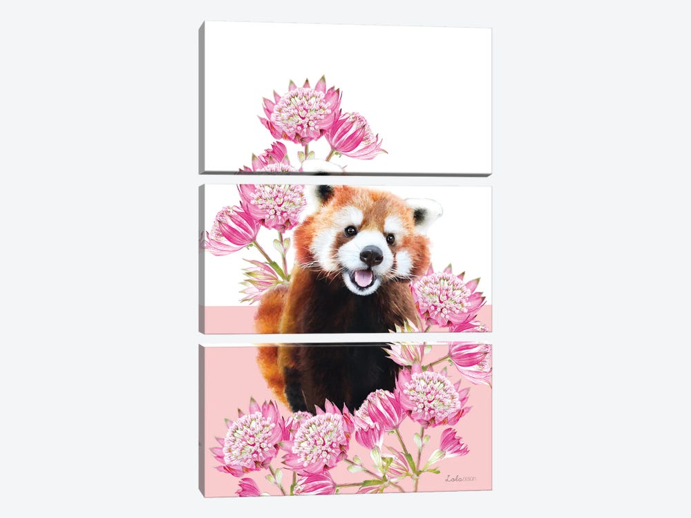 So Safari Red Panda by Lola Design 3-piece Canvas Wall Art