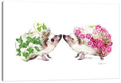 Wildlife Botanical Kissing Hedgehogs Canvas Art Print - Hedgehogs