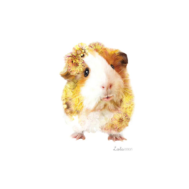 Wildlife Botanical Guinea Pig