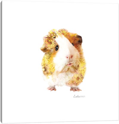 Wildlife Botanical Guinea Pig Canvas Art Print - Lola Design