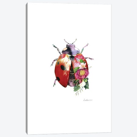 Wildlife Botanical Ladybird Canvas Print #LLG61} by Lola Design Art Print