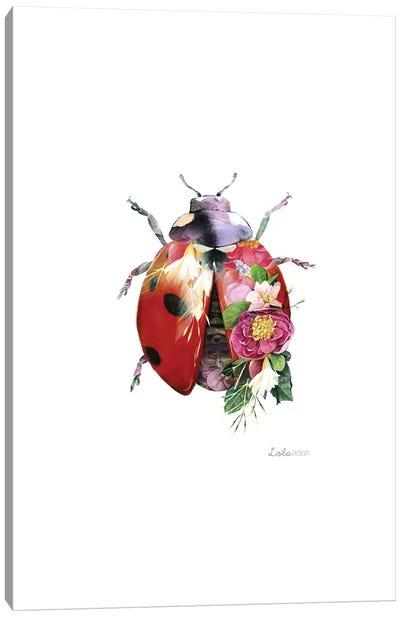 Wildlife Botanical Ladybird Canvas Art Print