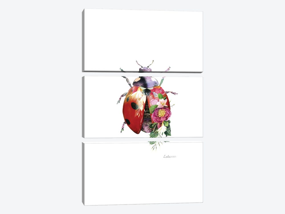 Wildlife Botanical Ladybird by Lola Design 3-piece Canvas Print