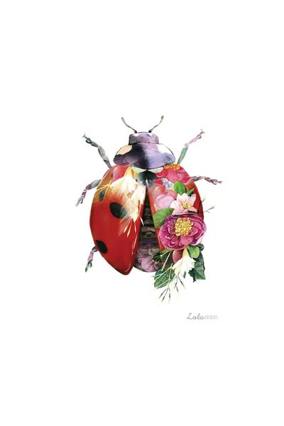 Embellished Animals: Wildlife Botanical Ladybird by Lola Design