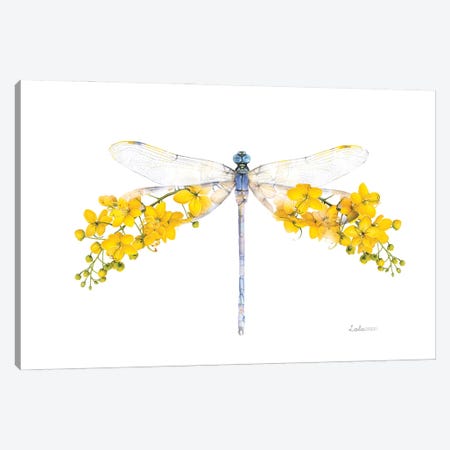 Wildlife Botanical Dragonfly Canvas Print #LLG62} by Lola Design Art Print