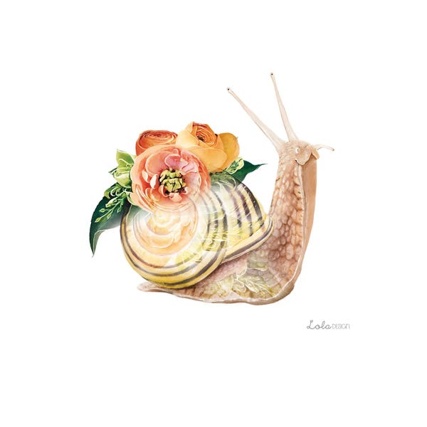 Ranunculi: Wildlife Botanical Snail by Lola Design