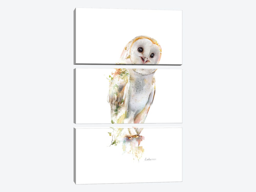 Wildlife Botanical Ivy Barn Owl by Lola Design 3-piece Canvas Print
