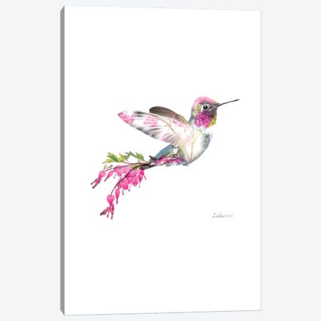 Wildlife Botanical Hummingbird Canvas Print #LLG69} by Lola Design Canvas Art Print
