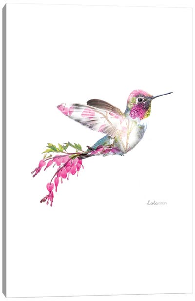 Wildlife Botanical Hummingbird Canvas Art Print - Lola Design