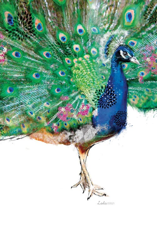 Wildside Peacock