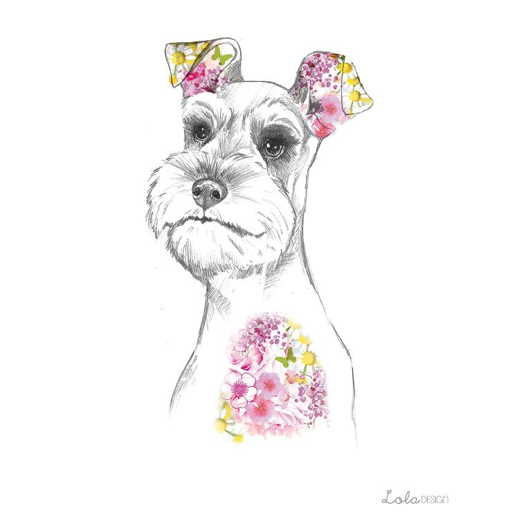 Schnauzer Pet Portrait