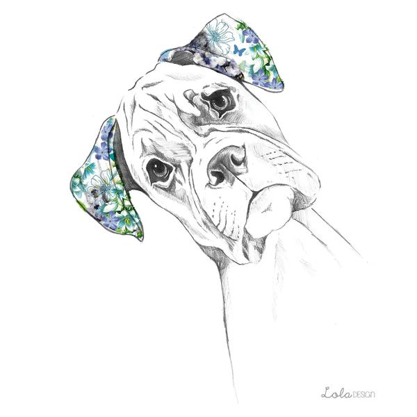 Boxers: Boxer Pet Portrait by Lola Design