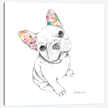 Sitting French Bulldog Pet Portrait Canvas Print #LLG76} by Lola Design Canvas Print