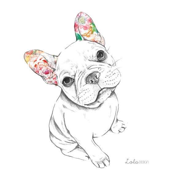 French Bulldogs: Sitting French Bulldog Pet Portrait by Lola Design