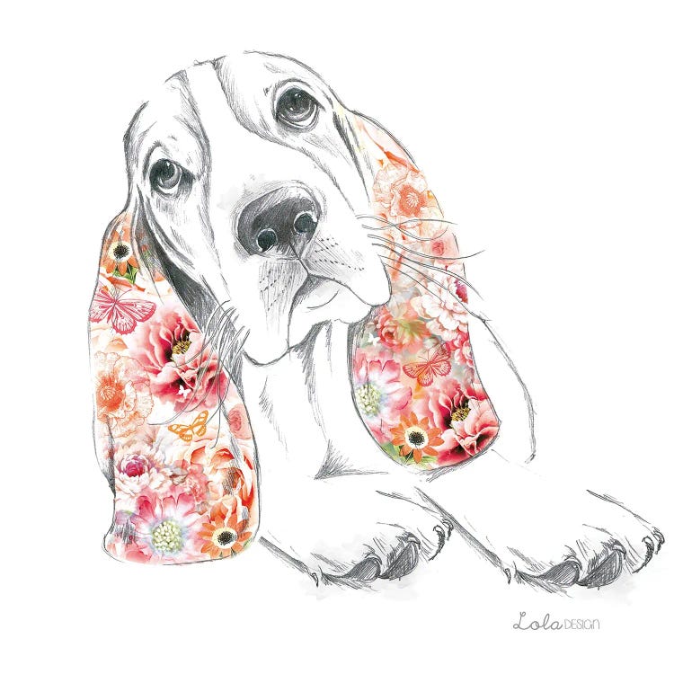 Basset Hound Pet Portrait