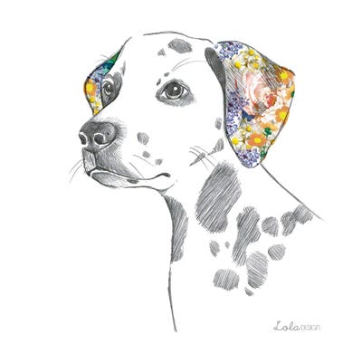 Dalmatian Pet Portrait by Lola Design metal wall art