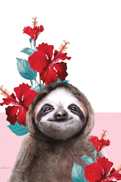 So Safari Sloth