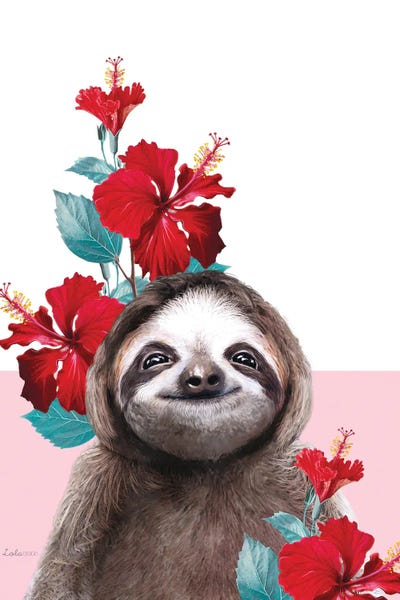 Hibiscuses: So Safari Sloth by Lola Design