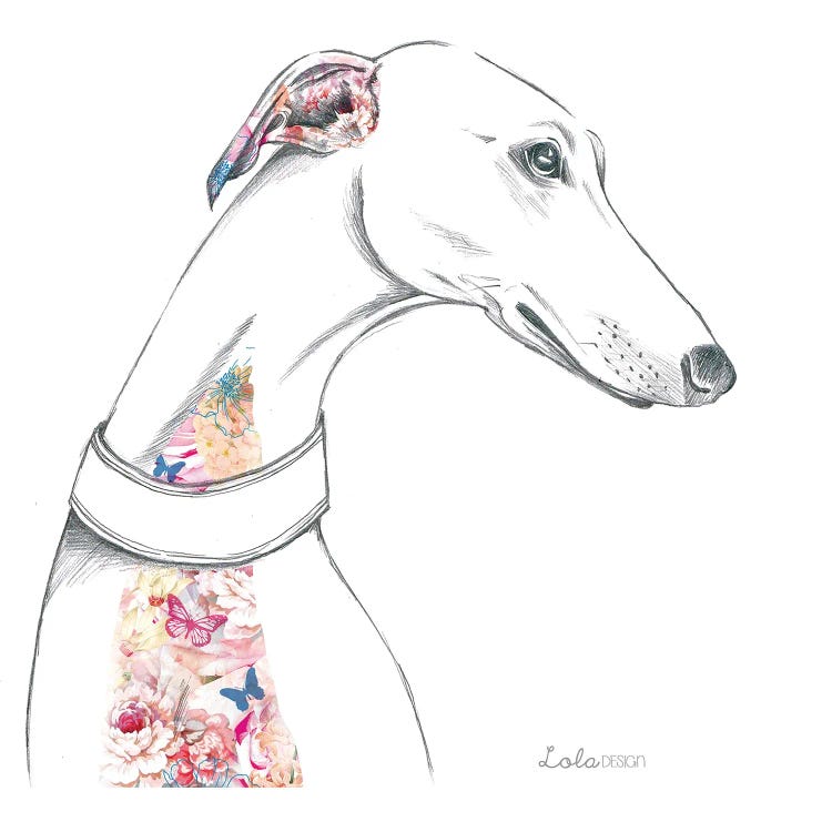 Greyhound Pet Portrait by Lola Design wall art