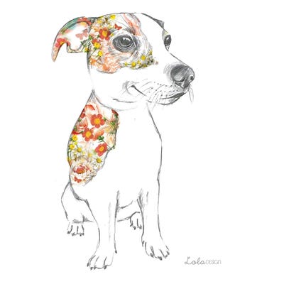 Jack Russell Pet Portrait by Lola Design metal wall art