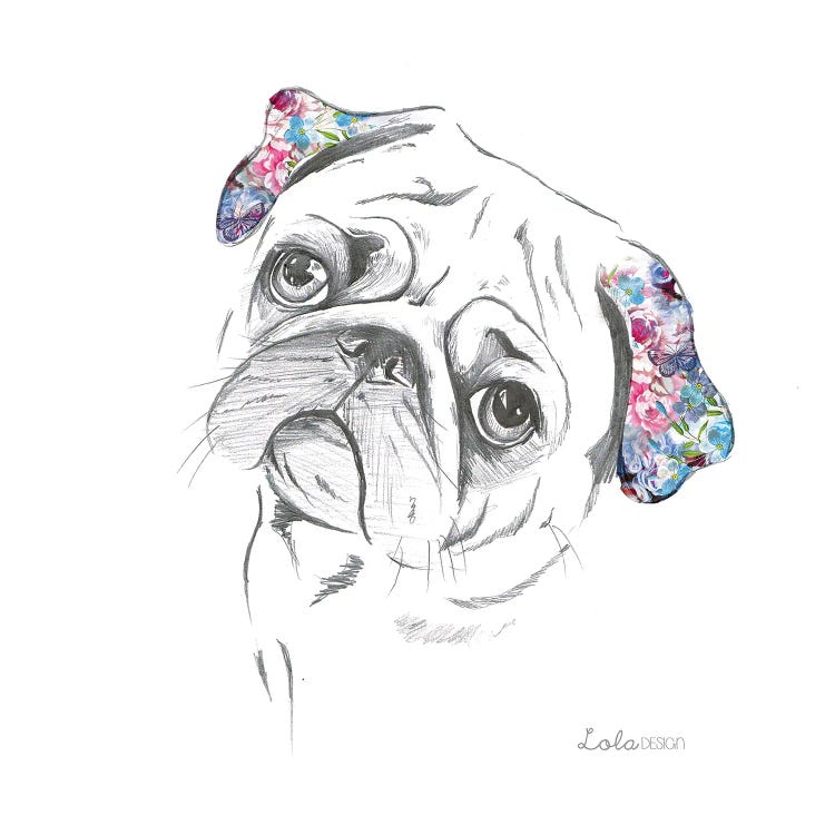 Pug Pet Portrait