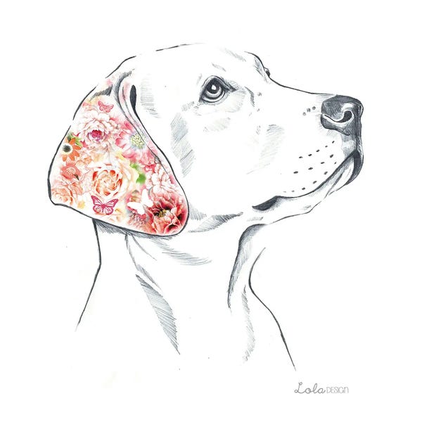 Labrador Retrievers: Labrador Pet Portrait by Lola Design