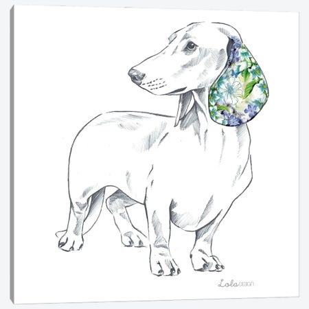 Dachshund Pet Portrait Canvas Print #LLG84} by Lola Design Canvas Wall Art