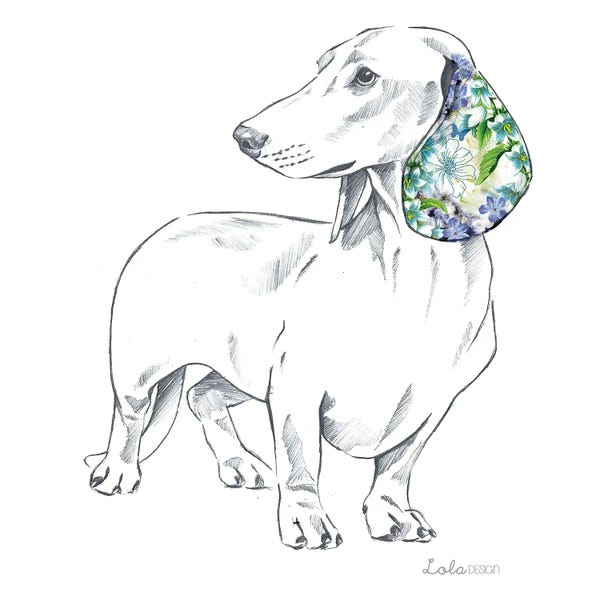 Dachshunds: Dachshund Pet Portrait by Lola Design