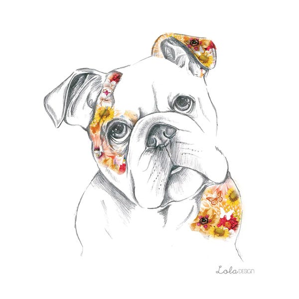 Bulldogs: English Bulldog Pet Portrait by Lola Design