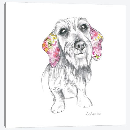 Wired Haired Dachshund Pet Portrait Canvas Print #LLG88} by Lola Design Art Print