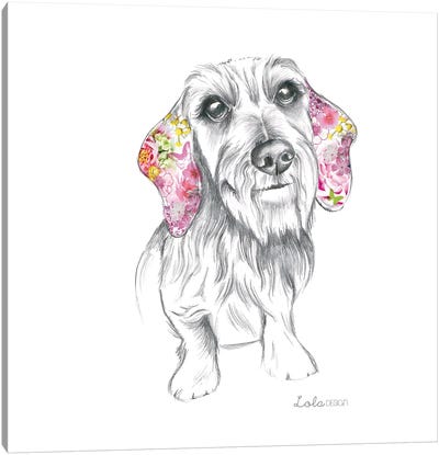 Wired Haired Dachshund Pet Portrait Canvas Art Print - Lola Design