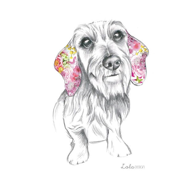 Dachshunds: Wired Haired Dachshund Pet Portrait by Lola Design