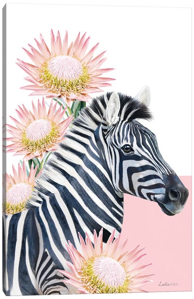So Safari Zebra Canvas Art Print - Lola Design