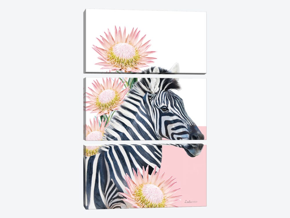 So Safari Zebra by Lola Design 3-piece Canvas Art