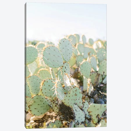 Prickly Pear II, Tuscon, Arizona Canvas Print #LLH101} by lovelylittlehomeco Canvas Print