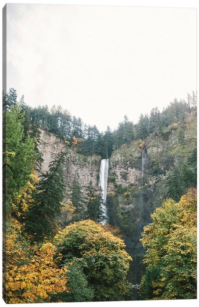 Waterfall I, Portland, Oregon Canvas Art Print - lovelylittlehomeco