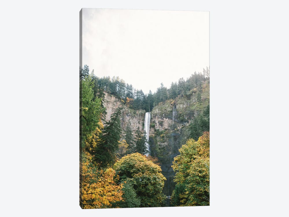 Waterfall I, Portland, Oregon by lovelylittlehomeco 1-piece Canvas Artwork