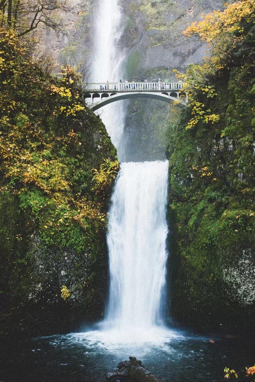 Waterfall II, Portland, Oregon by lovelylittlehomeco wall art