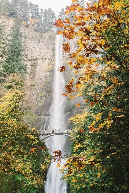 Waterfall III, Portland, Oregon by lovelylittlehomeco wall art