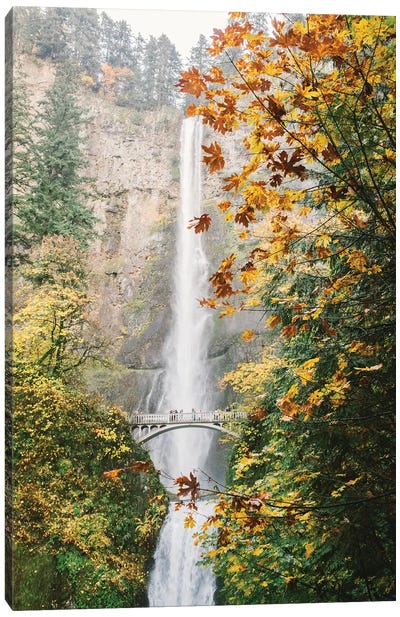 Waterfall III, Portland, Oregon Canvas Art Print - lovelylittlehomeco