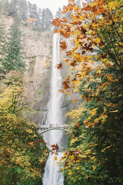 Oregon: Waterfall III, Portland, Oregon by lovelylittlehomeco