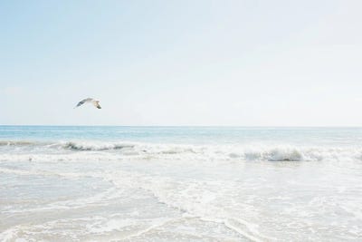 Malibu California Ocean Print by lovelylittlehomeco gallery poster