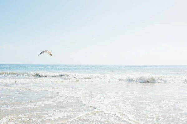 Malibu: Malibu California Ocean Print by lovelylittlehomeco