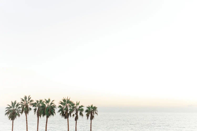 Palm Trees California Beach Print