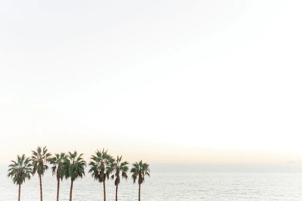 Large Photography - Canvas Prints: Palm Trees California Beach Print by lovelylittlehomeco